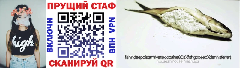 МЕФ Куртамыш