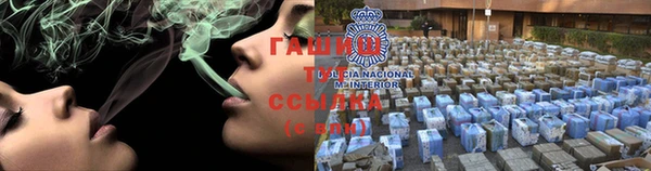 гидра Алексеевка