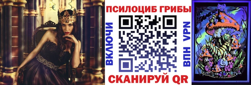 Галлюциногенные грибы Psilocybine cubensis  Куртамыш 