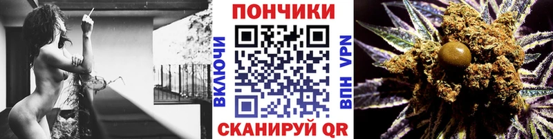 Бошки марихуана план  Куртамыш 